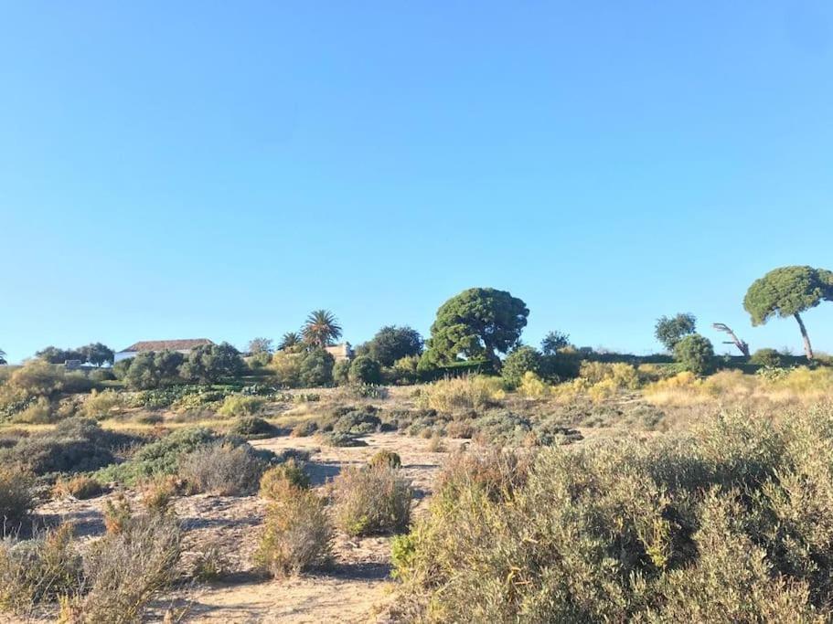 Casa Da Boa Gente Apartman Cabanas De Tavira Kültér fotó